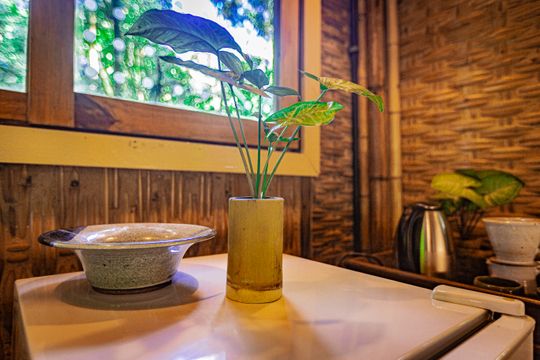 Banana Bamboo Ecolodge